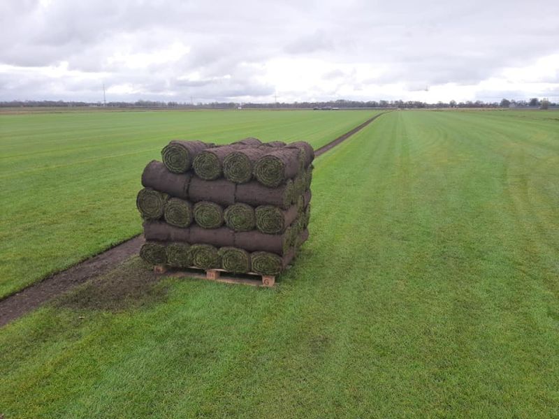 sfeerfoto Graszoden van Graco uit Drenthe