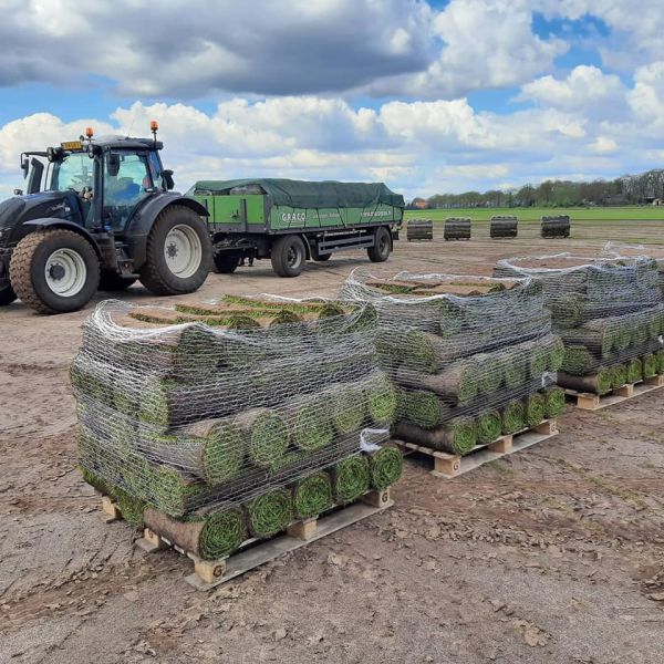 sfeerfoto Graszoden van Graco uit Drenthe