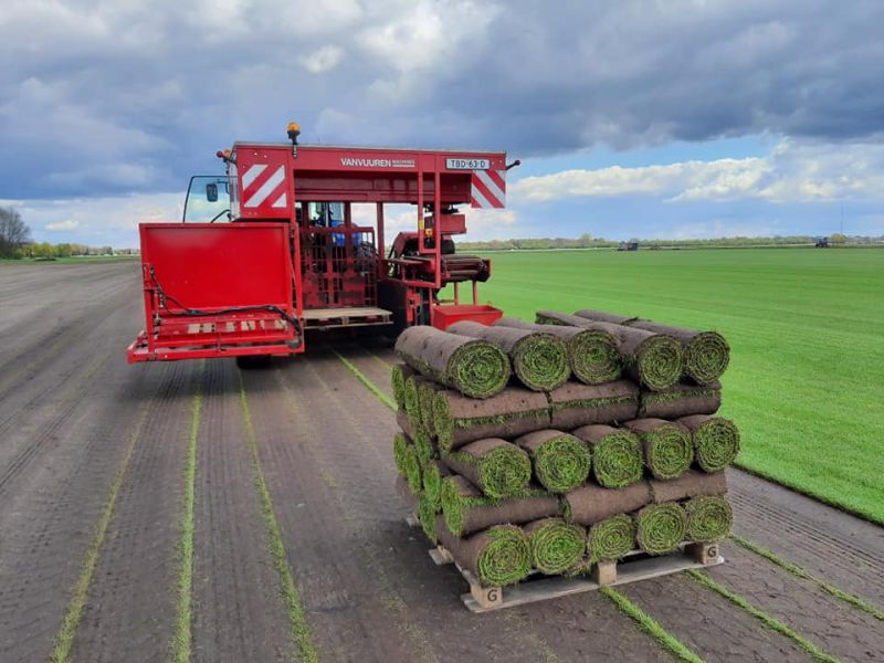 sfeerfoto Graszoden van Graco uit Drenthe