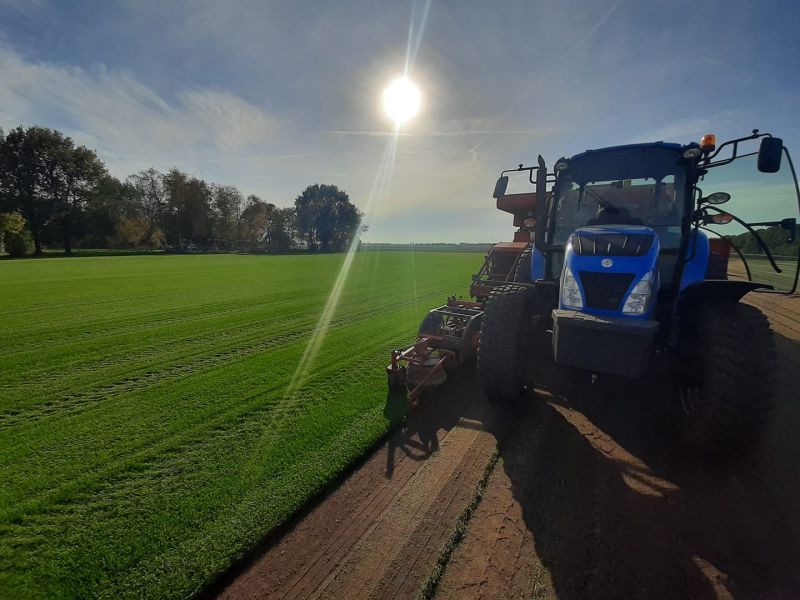 sfeerfoto Graszoden van Graco uit Drenthe