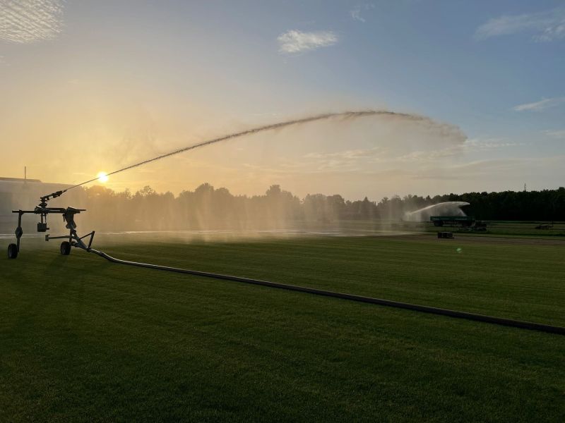 sfeerfoto Graszoden van Graco uit Drenthe