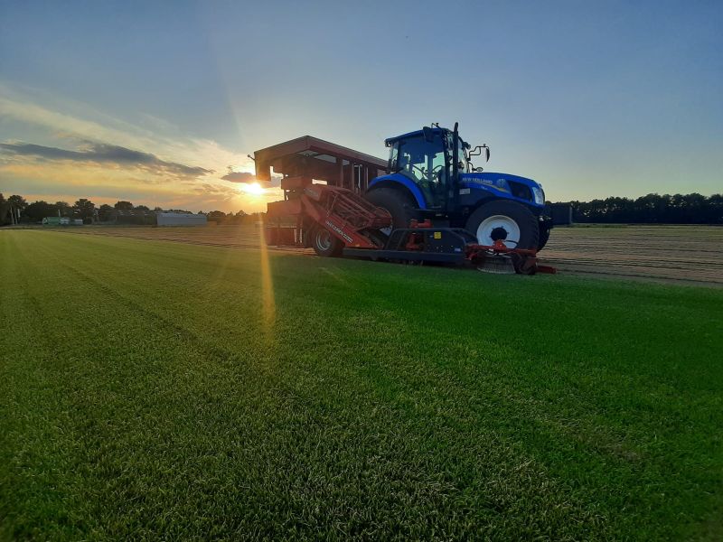 sfeerfoto Graszoden van Graco uit Drenthe